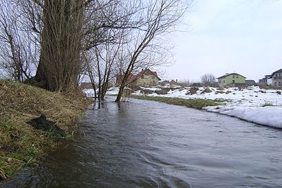 Jak dojechać komunikacją do Malczew - O miejscu docelowym