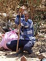 Man with Walking Staff by Roadside - En Route from Bahir Dar to Gondar - Ethiopia (8685131005).jpg