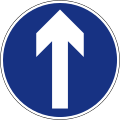 Ahead only (turning left and right is prohibited)