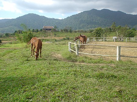 Cao_nguyên_M'Drắk