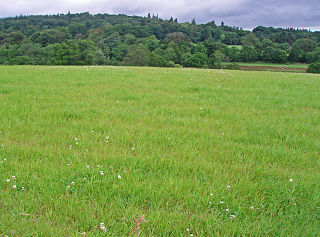 <span class="mw-page-title-main">Balbridie</span> Archaeological site in Aberdeenshire, Scotland, UK