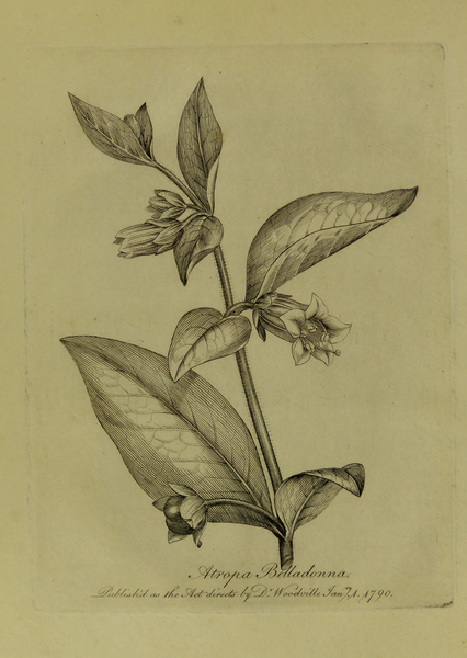 File:Medical Botany 1790-0001 0022-original.png