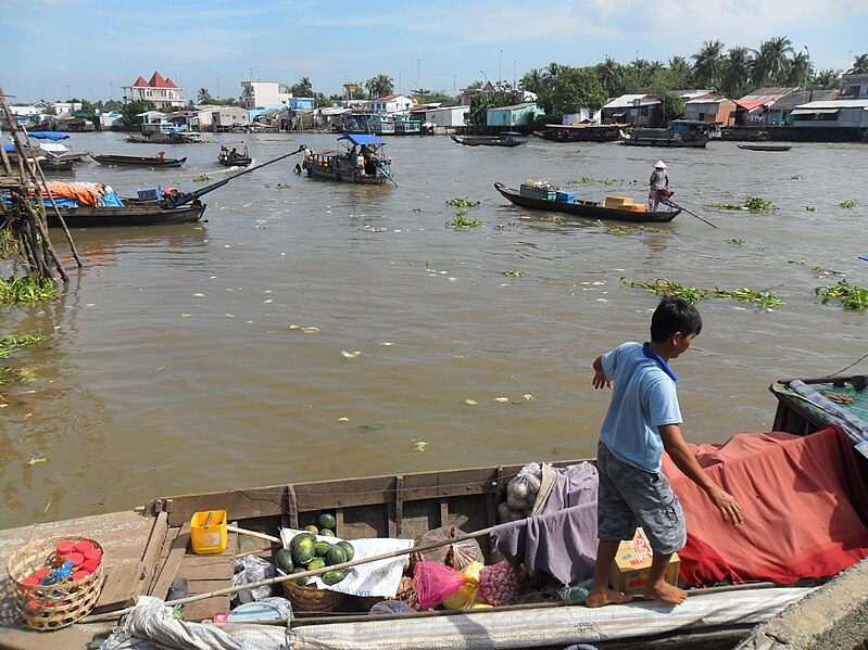 File:Mekong delta...JPG