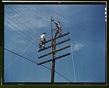 Security maintenance for men working on wooden poles lines. Men working on telephone lines, probably near a TVA 1a35245v.jpg