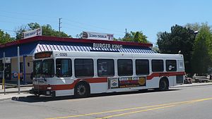 MiWay 0325 at Dixie.JPG