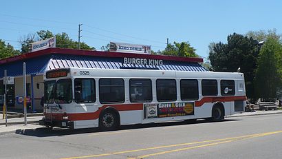 MiWay 0325 at Dixie.JPG