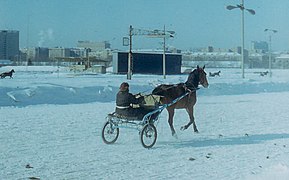 Moscow Hyppodrome February 1978 03.jpg