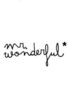Mr.Wonderful image.png