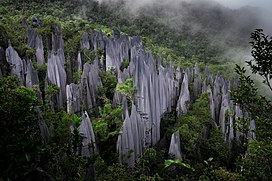 Mulu Pinnacles.jpg