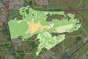 Nationalpark De Loonse en Drunense Duinen