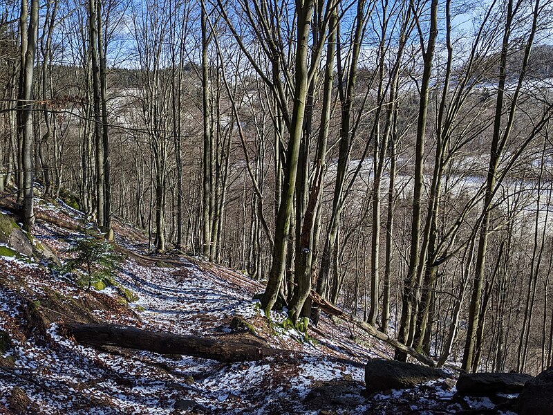 File:NPR Pulčín - Hradisko - sestup červeně značenou cestou od Pulčínských skal ke studánce Dobrodějce (únor 2023) (3).jpg