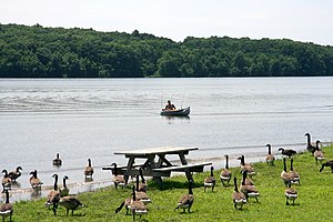 Scene at Nockamixon Lake