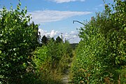 English: Nakhabino - Pavlovskaya sloboda railway line