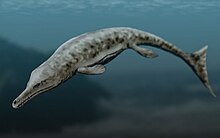 Neptunidraco Wikipedia