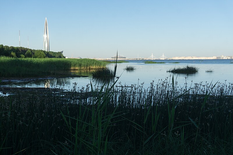 File:Neva Bay 2020-06-14-1.jpg