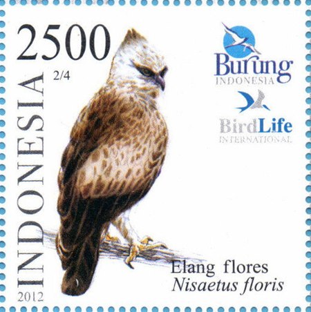 Nisaetus floris 2012 Indonesia stamp.jpg