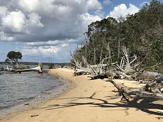 <span class="mw-page-title-main">Bruun rule</span> Formula for estimating the magnitude of shoreline retreat due to changes in sea level