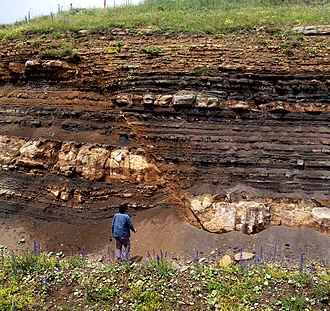 Layers of sedimentary rock cut by a normal fault (due to extension of the bedrock) near Tbilisi. Layers on the right have moved downwards relative to layers on the left. Normal Fault in Georgia.jpg