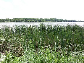Státní park Oakwood Lakes.jpg