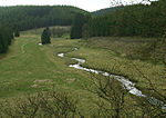 Perlenbach Valley