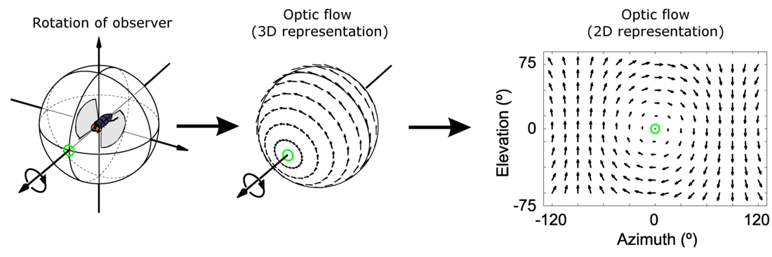 Optical flow