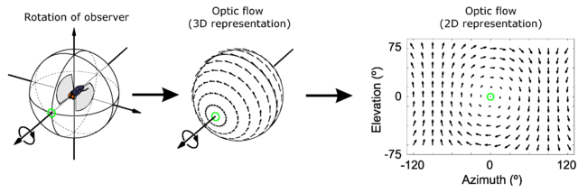 Python Opencvで物体の追跡 Lucas Kanade法を使ったoptical Flow