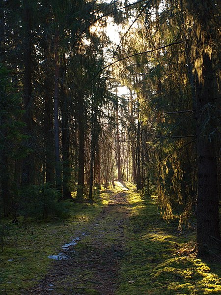 File:Orsa V, Sweden - panoramio.jpg