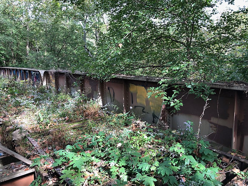 File:Overgrown Little Miami Railroad bridge over O'Bannon Creek, Loveland, Ohio, October 2018.jpg