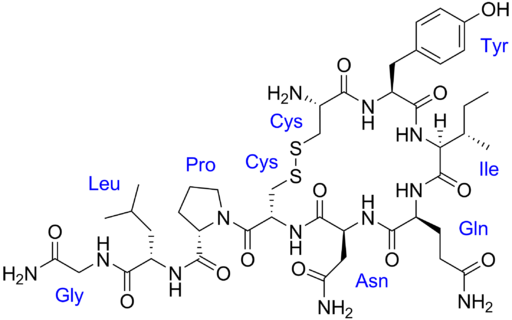 Oxytocin with labels