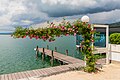 * Nomination Rambler roses with lantern on Johannes-Brahms-Promenade, Pörtschach, Carinthia, Austria -- Johann Jaritz 01:40, 3 June 2024 (UTC) * Promotion  Support Good quality. --Екатерина Борисова 02:29, 3 June 2024 (UTC)