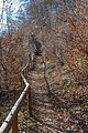 English: Hiking trail to the "High Gloriette" Deutsch: Wanderweg zur „Hohen Gloriette“