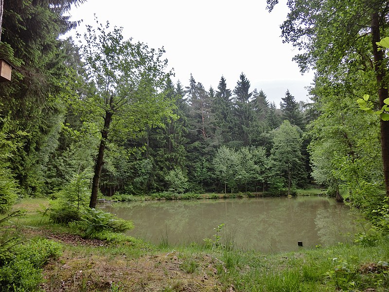 File:Püttlachweiher 2 - panoramio.jpg