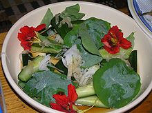 Salad with flowers and leaves P7024519nasutachiumusarada.jpg