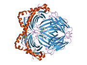 PDB 1dlh EBI.jpg