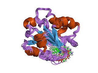 <span class="mw-page-title-main">Vitamin B12-binding domain</span> Type of protein domain