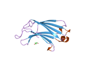 PDB 2chd EBI.png