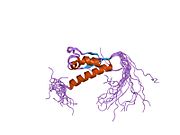 PDB 2cte EBI.jpg