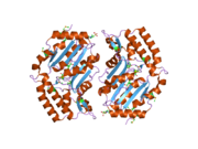 2g06: X-ray structure of mouse pyrimidine 5'-nucleotidase type 1, with bound magnesium(II)