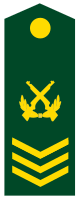 PLA Chief Sergeant Class 2.svg