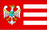 Gniezno County