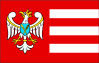 Bandeira do Condado de Gniezno
