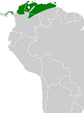 Distribución geográfica del verdillo luisucho.