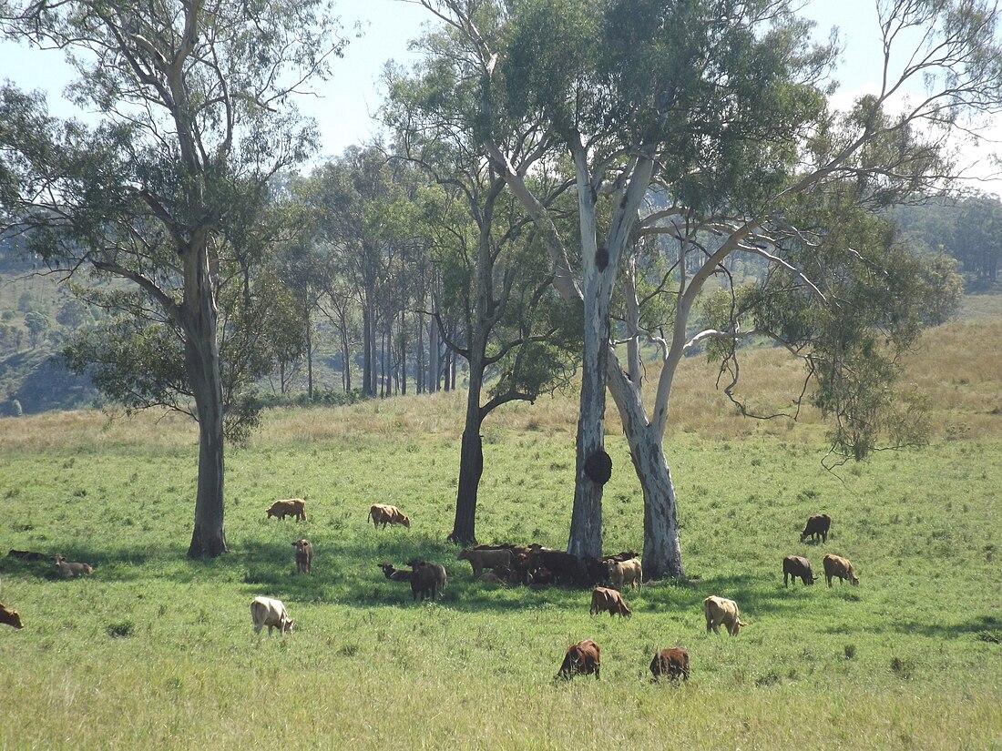 Josephville, Queensland