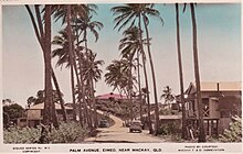 Palm Avenue, circa 1940 Palm Avenue, Eimeo near Mackay, Qld - circa 1940.jpg