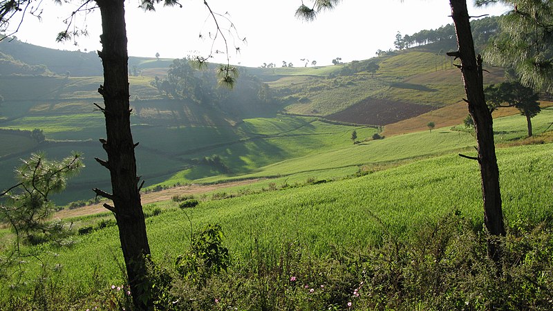 800px-Pangetkon,_Shan_Hills,_Myanmar,_Landscape_with_green_fields_in_central_Myanmar,_Shan_State.jpg (800×450)