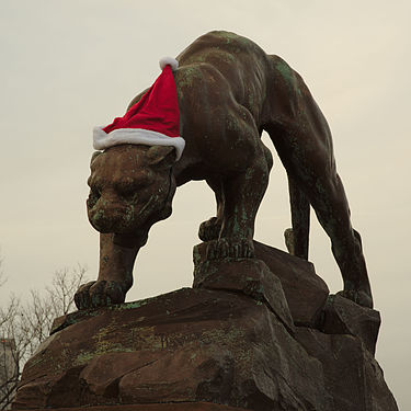 Panther wearing santa hat.