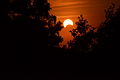 Partial Annular Solar Eclipse, May 20, 2012 - Naperville, Illinois.jpg