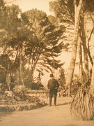 Un uomo in abito scuro e cappello in un parco con alti pini.