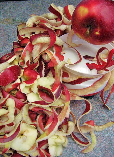 File:Peeling apples for applesauce.jpg