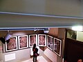Sala con cartoni di Podesti: "Giochi delle giovinette compagne di Diana", eseguiti in preparazione agli affreschi di Palazzo Torlonia (Roma).